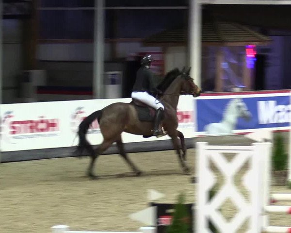 5. Nordic Jumping event Negernbötel 2024