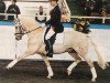 stallion Donatelli (German Riding Pony, 1997, from Dornik B)