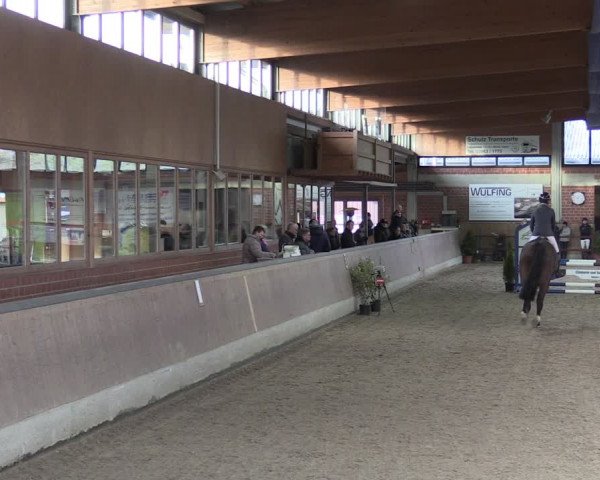 Reitturnier Heiden 2024
