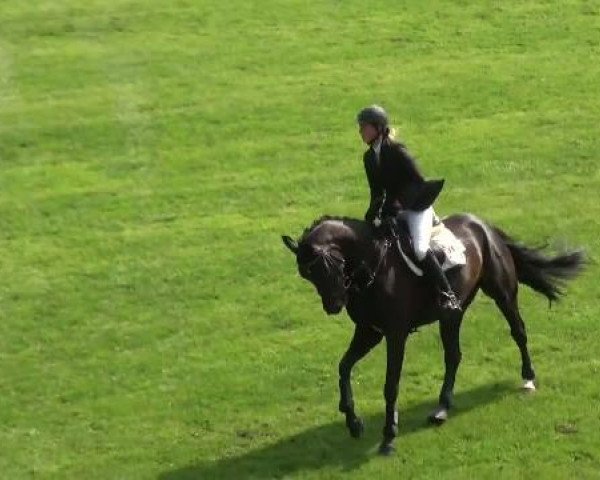 Riesenbeck INTERNATIONAL 2011