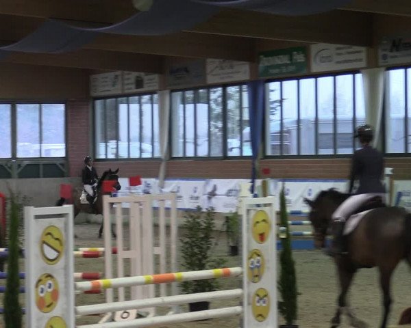 Reitturnier Heiden 2024