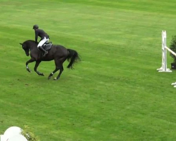 Riesenbeck INTERNATIONAL 2011