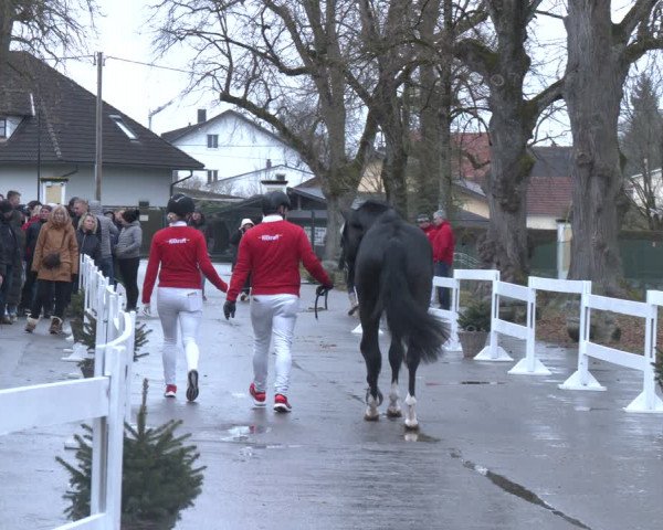 AWÖ Hengsttage 2024