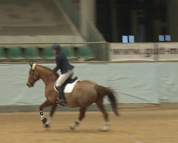 Reitturnier Kreuth/Opf. 2024