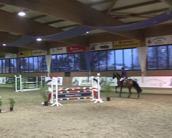 Reitturnier Heiden 2024