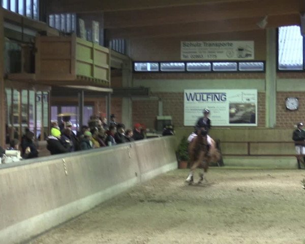 Reitturnier Heiden 2024