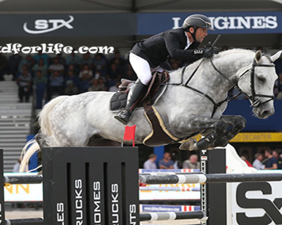 stallion Air Corrado V.O. (Belgium Sporthorse, 2006, from Corrado I)