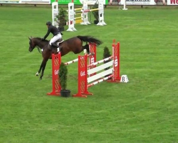 Riesenbeck INTERNATIONAL 2011