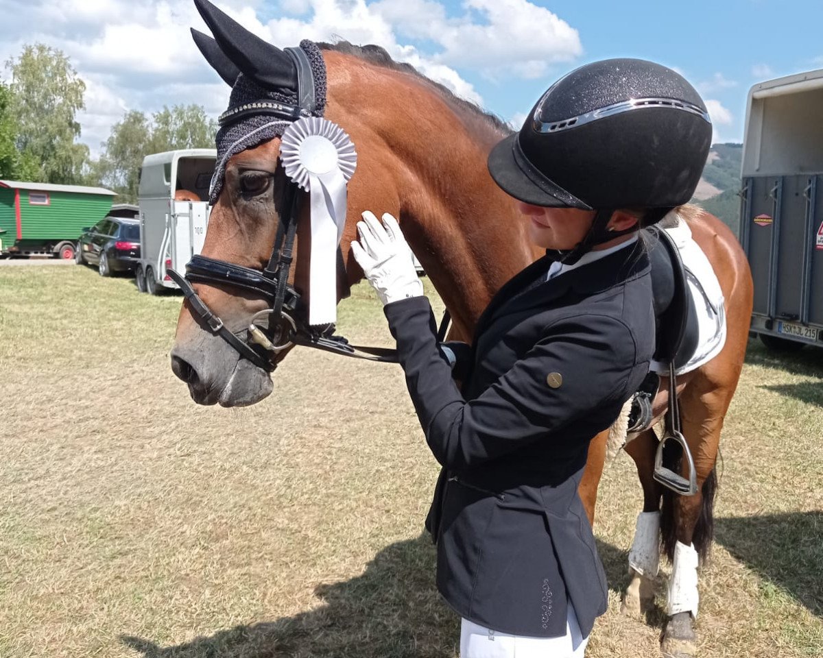 dressage horse Daddys Darling 3 (German Riding Pony, 2013, from Donnerwetter)