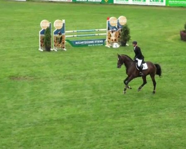 Riesenbeck INTERNATIONAL 2011