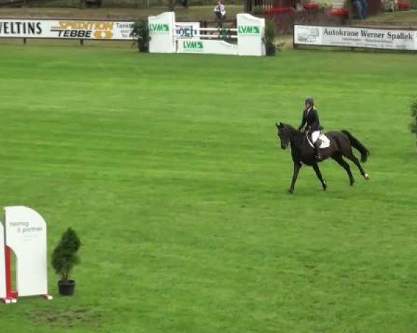 Riesenbeck INTERNATIONAL 2011