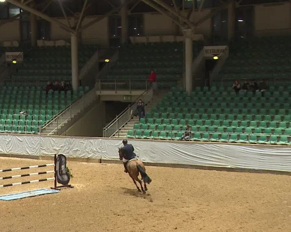 Reitturnier Kreuth/Opf. 2024
