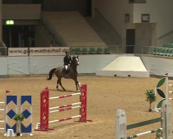 Reitturnier Kreuth/Opf. 2024
