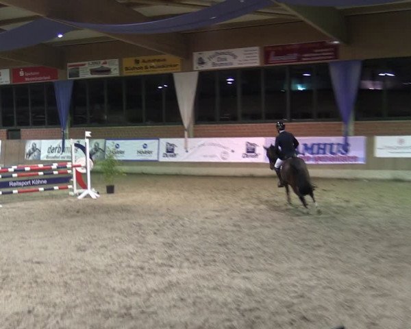 Reitturnier Heiden 2024