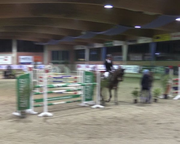 Reitturnier Heiden 2024