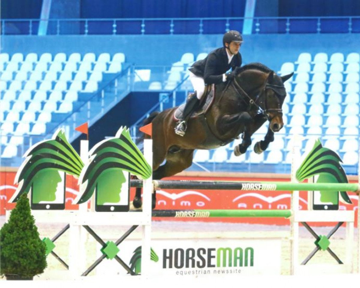 stallion Corydon van T&L (Westphalian, 2011, from Cornado NRW)