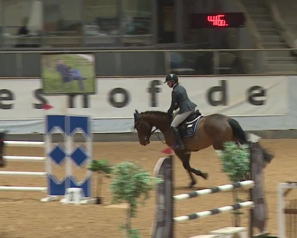 Reitturnier Kreuth/Opf. 2024