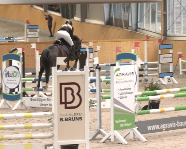 Reitturnier Münster-Amelsbüren 2024