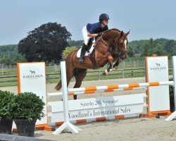 jumper Jonker van de Donkhoeve (Belgian Warmblood, 2009, from Vagabond de la Pomme)