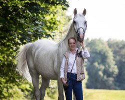 horse Chief 28 (Oldenburg show jumper, 2004, from Converter I)