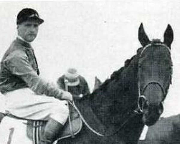 horse Big Game xx (Thoroughbred, 1939, from Bahram xx)