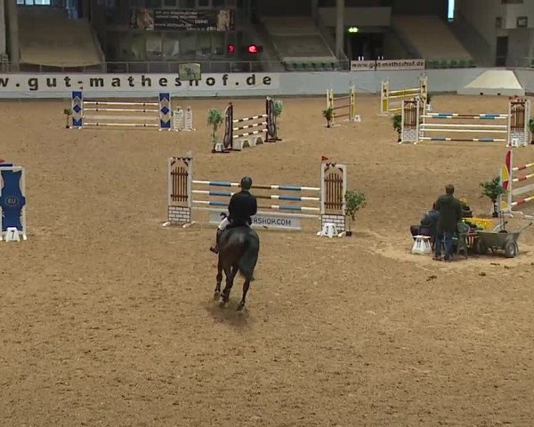 Reitturnier Kreuth/Opf. 2024