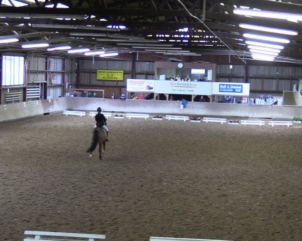 Reitturnier Springe 2024