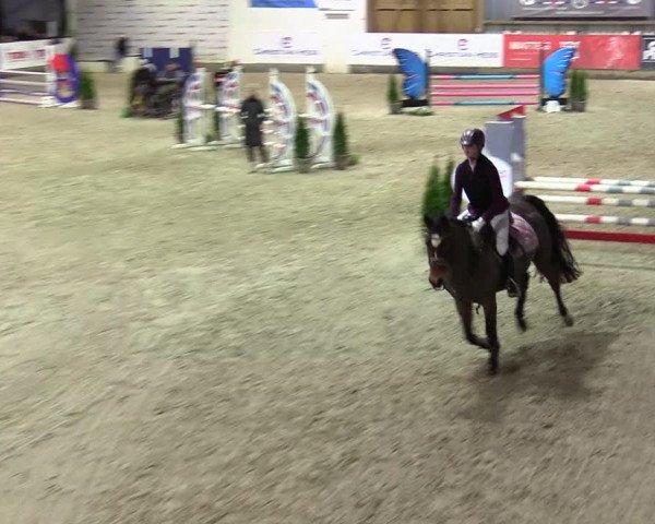 5. Nordic Jumping event Negernbötel 2024