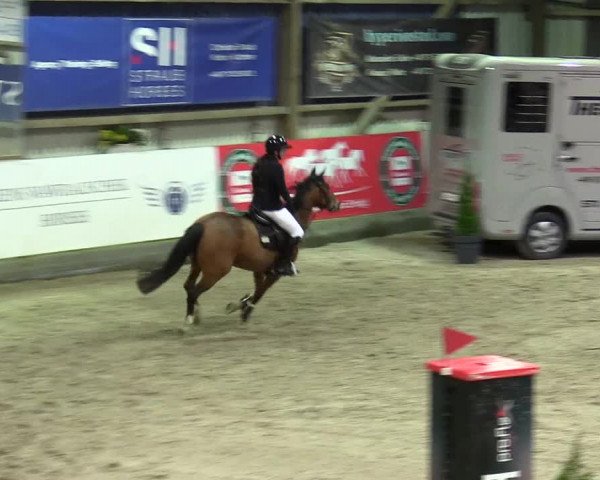 5. Nordic Jumping event Negernbötel 2024