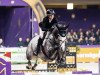 jumper Com'On Miss Ogano Sit (German Sport Horse, 2016, from Ogano Sitte)