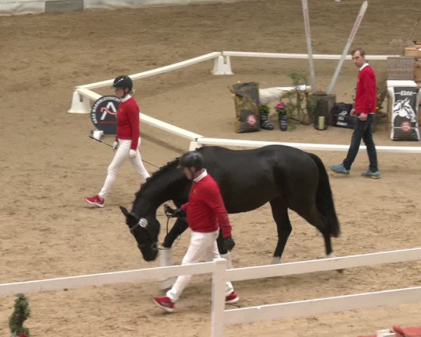 AWÖ Hengsttage 2024