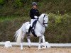 stallion DSP Best Secret (German Sport Horse, 2014, from Belantis)