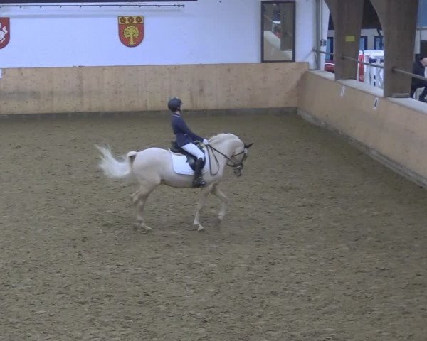 Reitturnier Olfen-Vinnum 2024