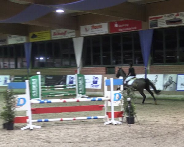 Reitturnier Heiden 2024