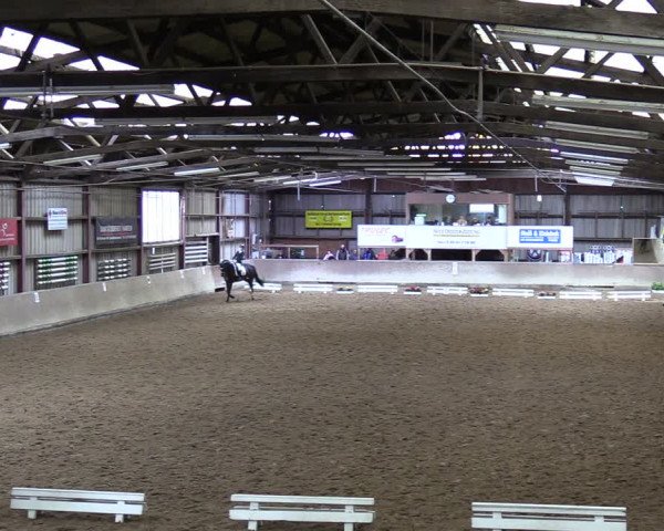 Reitturnier Springe 2024