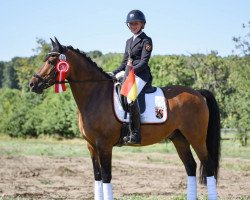 dressage horse Melli's Diamond (German Riding Pony, 2014, from Dornik B)