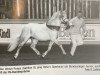 stallion Beka's Spartacus (Welsh-Pony (Section B), 1996, from Møllegårds Spartacus)