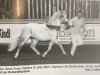 Deckhengst Beka's Spartacus (Welsh Pony (Sek.B), 1996, von Møllegårds Spartacus)