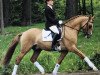 dressage horse Mac Duncan (German Riding Pony, 2001, from FS Don't Worry)