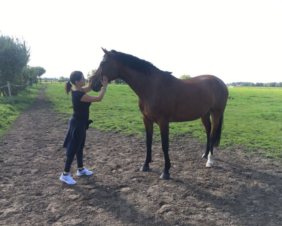 broodmare Dora (Westphalian, 2012, from Huracan)