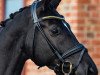 broodmare Anouk (Trakehner, 2019, from Ivanhoe)