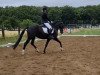 dressage horse Limited Lana (KWPN (Royal Dutch Sporthorse), 2016, from Ferdeaux)