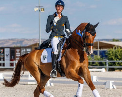 dressage horse Farnham L (Danish Warmblood, 2010, from Fuerst Rousseau)