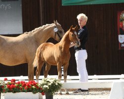 Dressurpferd Köhlhorsts Luxusliese (Deutsches Reitpony, 2022, von FS Next Diamond)