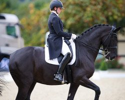 dressage horse Tabledance 3 (Oldenburg, 2013, from Totilas)