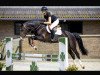 jumper Ninive Chic (KWPN (Royal Dutch Sporthorse), 2018, from Il Est Balou)