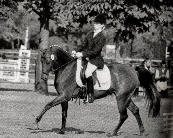 broodmare Fabienne la (German Riding Pony, 1995, from De Merel´s Demis)