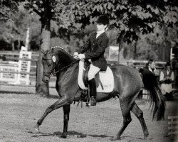 Zuchtstute Fabienne la (Deutsches Reitpony, 1995, von De Merel´s Demis)