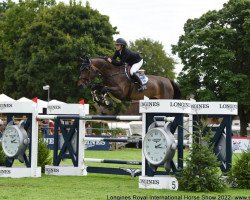 broodmare Miss Aragona PS (Oldenburg show jumper, 2013, from HH Messenger)