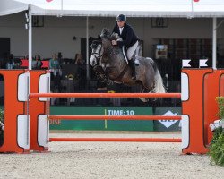 jumper Emerald Irish Cruise (Irish Sport Horse, 2015, from Ringfort Cruise)